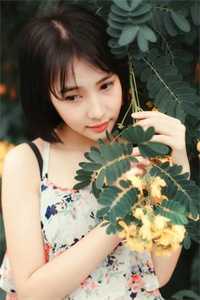 海棠开尽再无君全本