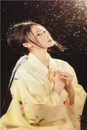 许我人间白头霜后续+完结