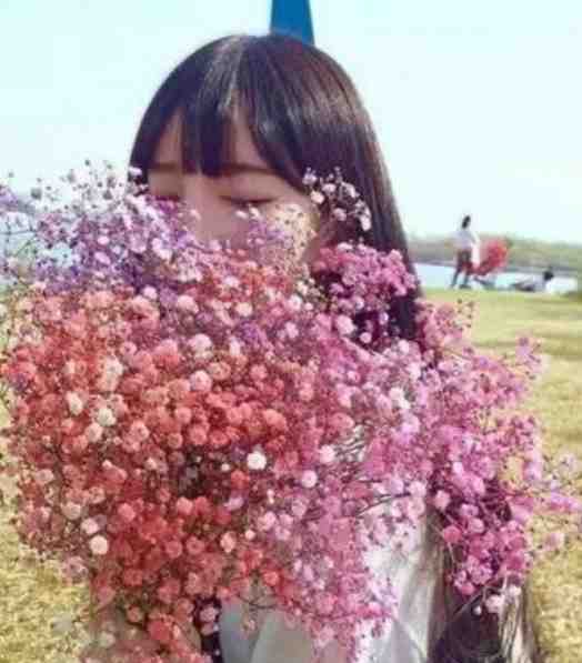 风掠长街花辞树完整阅读