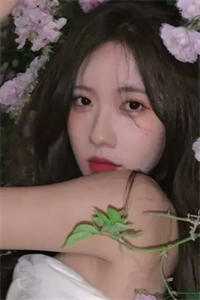 梨花落尽，云散夜未明短篇