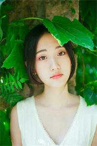 明月照故川，此去是清欢免费看