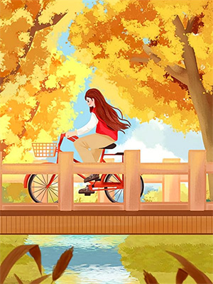 她踏碎星河寻觅光无删减全文