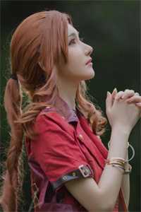 海棠开尽再无君结局+后续