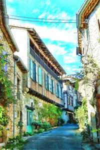 假太监：从推倒太子妃开始结局+后续