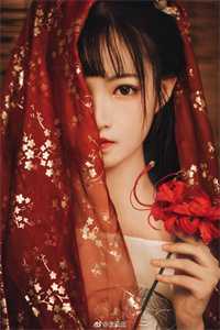 梨花依旧笑旧年完结版