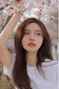 若我不曾等来天亮精品推荐