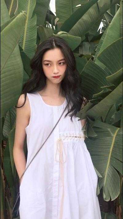 十里红妆入梦来畅销巨著