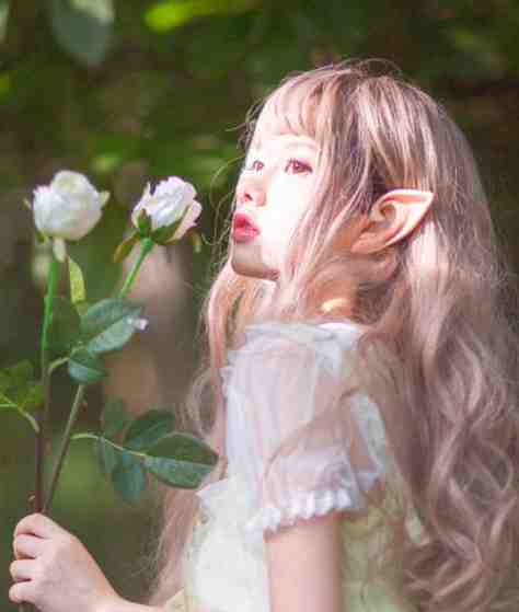 植物人未婚夫醒后，他哥夜夜敲门完本