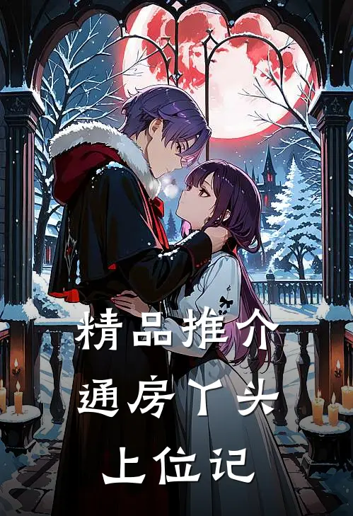精品推介通房丫头上位记