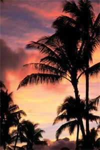 表姐嫁给了我的未婚夫推荐