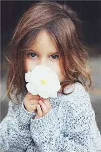 情陷浅水湾小说全文免费