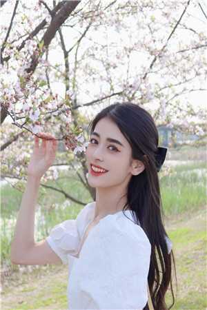 想当东宫太师？姐花点银子帮你办沈维康容华全文