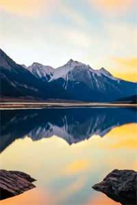 体制内的偏爱好书