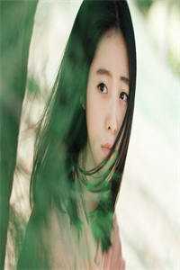 岁在雪尽春自来完结