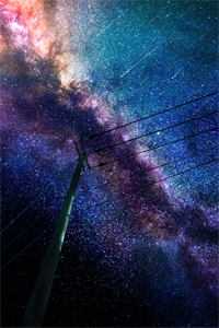 拍卖会上，老婆天价为男助理点天灯试读