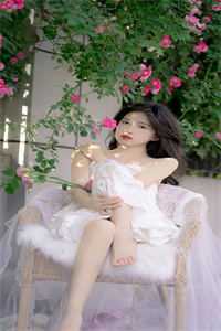 南风未起，念你成疾在线阅读全本阅读