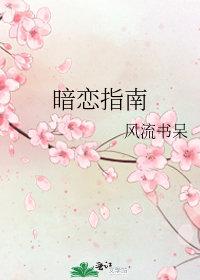 高阳宋青青最新章节更新完整文本阅读