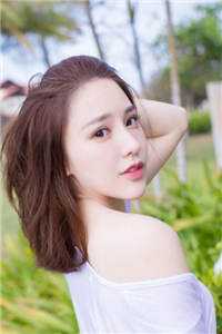 杨过：这次，换我来守护桃花岛全篇