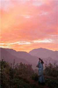 予我清风，渡我苦夏未删减版