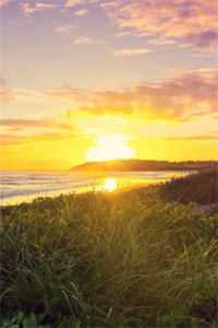 阴湿小狗缠上身，姐姐！疼疼我！完结