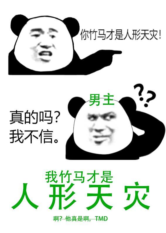 长篇小说阅读重生1995：她成了房产大亨