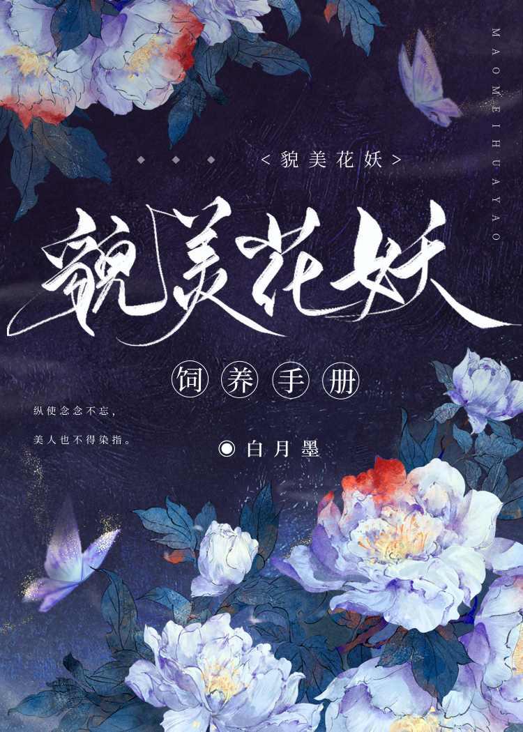 踏尽红尘，情似浮生一梦目录