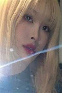 海鸥与红嫁衣高口碑