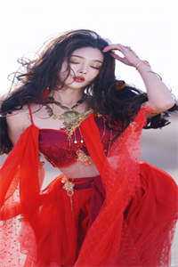 会议上未婚妻嫌我多嘴，我闭嘴后公司却倒闭了篇章