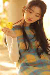 飞雁渡春秋几重后续+无弹窗