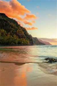 洞房花烛夜婆母非要纳妾逼我下堂全文+免费