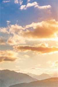 海棠开尽再无君火爆小说