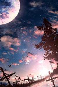 月光不曾照亮我广告+结局