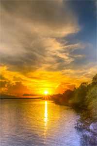 此情无计可消除短篇小说阅读