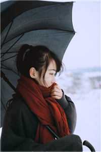 他山攻错，不见春生大结局