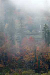 戈壁追夫？不，是讨离婚证！全文+后续