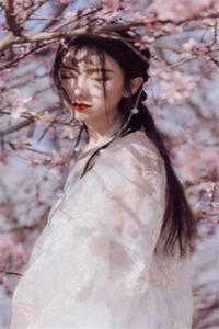 陆总，太太的暗恋对象就是你免费阅读全文