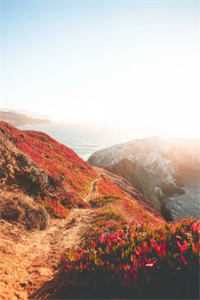 社畜神医暴富指南：从权贵到江湖最完整版