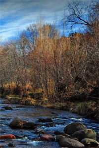 错睡后，偏执大佬粘人成瘾未删减版