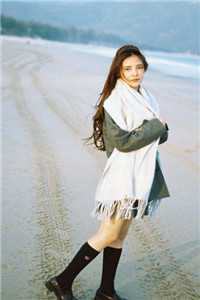 杨过：这次，换我来守护桃花岛小说免费阅读全文