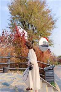 十年春诉爱难归章节