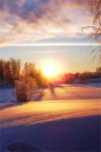 负了如来更负卿谢无妄沈清辞小说