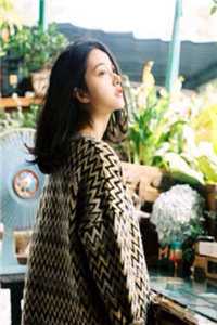 一夜星河入梦来全文