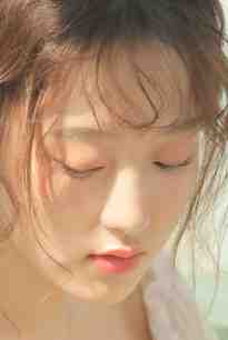 北城旧梦扰清风完结文