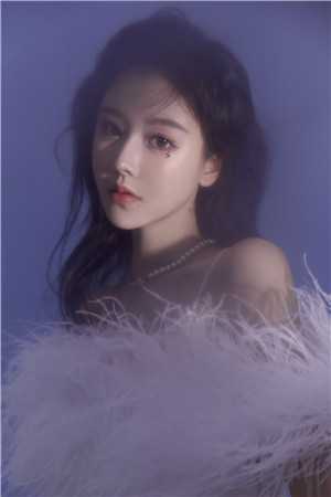 岁暮星沉爱已迟全文章节