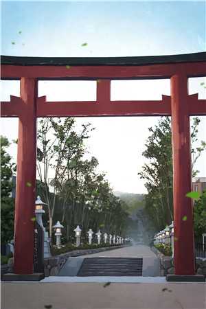 保送名额被夺，重生后我杀疯了安然方逸尘全集