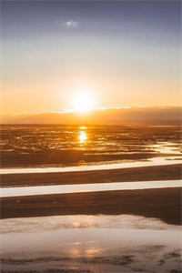 保送名额被夺，重生后我杀疯了安然方逸尘番外