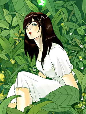 你的星光我的归期小说免费