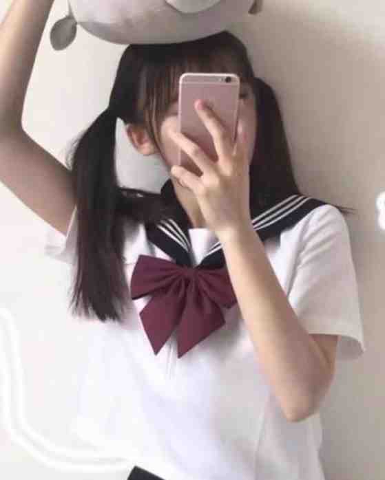 风掠长街花辞树已完结版
