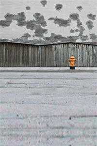 男友被折磨成了精神病，我却选择了沉默小说结局