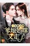 会议上未婚妻嫌我多嘴，我闭嘴后公司却倒闭了完结文